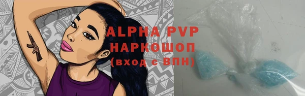 гидра Горняк