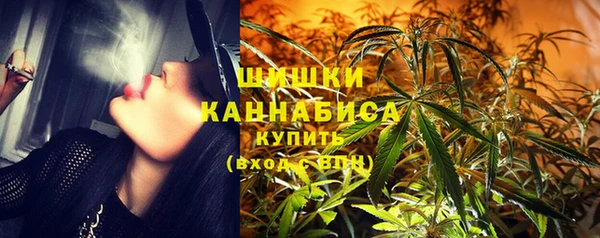 мдпв Вязники