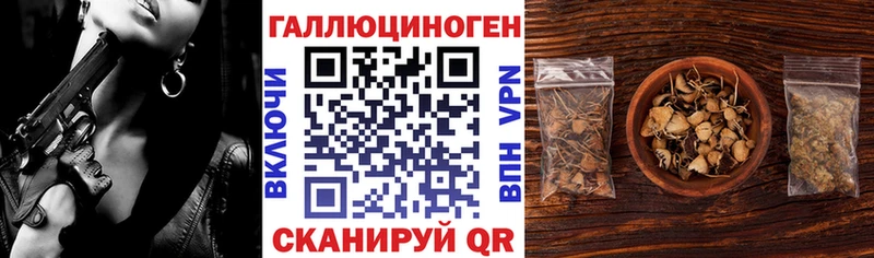 Галлюциногенные грибы Psilocybine cubensis  KRAKEN зеркало  Злынка 